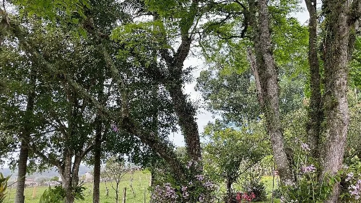 Sítio à venda de 12 ha em Santo Antônio da Patrulha, RS, Brasil