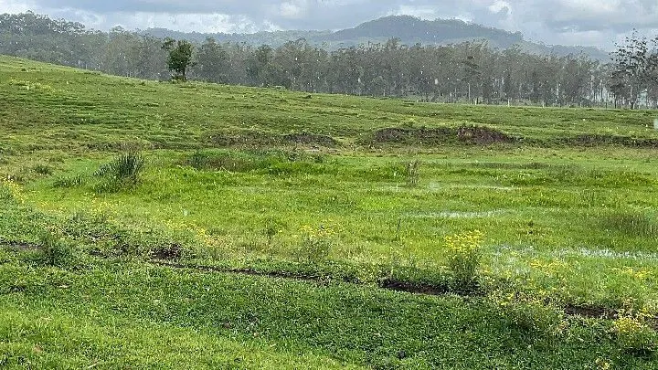 Sítio à venda de 12 ha em Santo Antônio da Patrulha, RS, Brasil