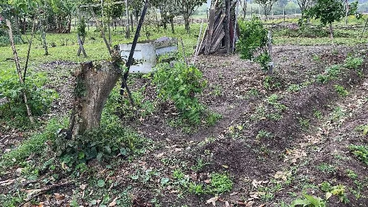 Sítio à venda de 12 ha em Santo Antônio da Patrulha, RS, Brasil
