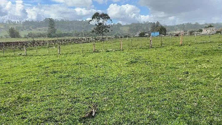 Sítio à venda de 12 ha em Santo Antônio da Patrulha, RS, Brasil