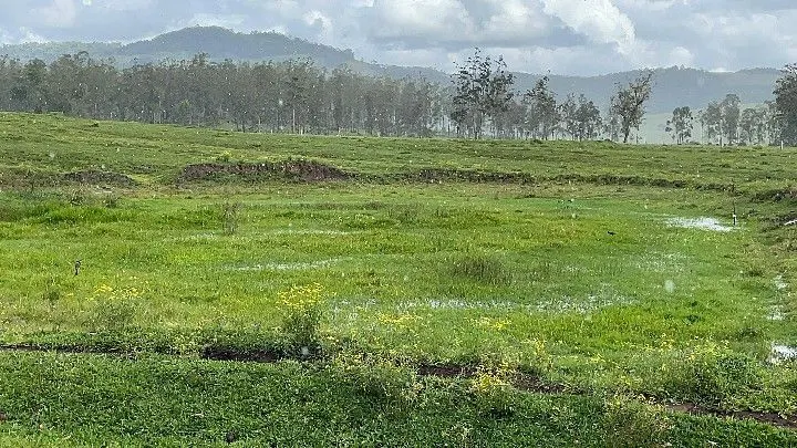 Sítio à venda de 12 ha em Santo Antônio da Patrulha, RS, Brasil