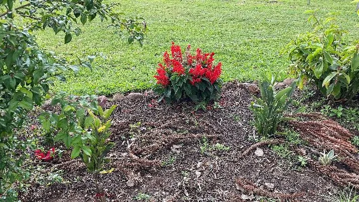 Sítio à venda de 12 ha em Santo Antônio da Patrulha, RS, Brasil