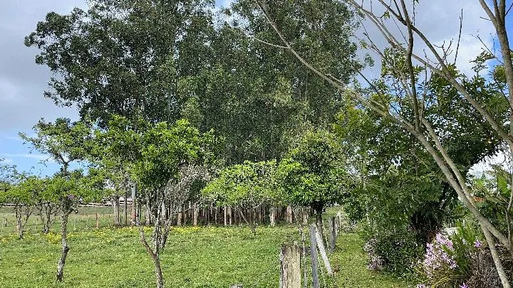 Sítio à venda de 12 ha em Santo Antônio da Patrulha, RS, Brasil