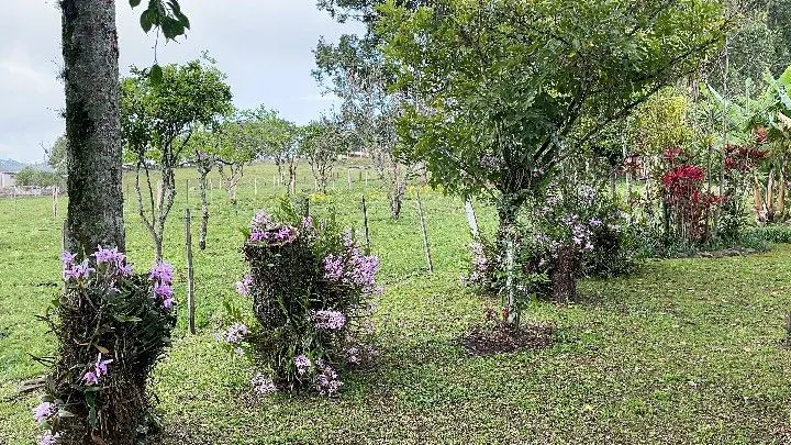Sítio à venda de 12 ha em Santo Antônio da Patrulha, RS, Brasil