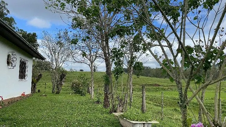 Sítio à venda de 12 ha em Santo Antônio da Patrulha, RS, Brasil