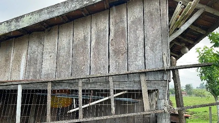 Sítio à venda de 12 ha em Santo Antônio da Patrulha, RS, Brasil