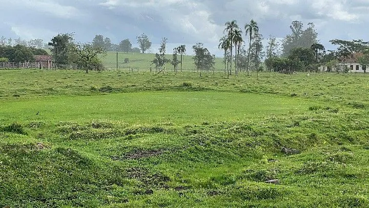 Sítio à venda de 12 ha em Santo Antônio da Patrulha, RS, Brasil