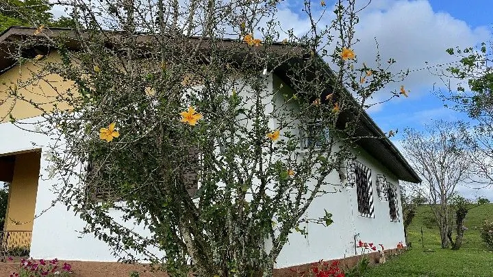 Sítio à venda de 12 ha em Santo Antônio da Patrulha, RS, Brasil
