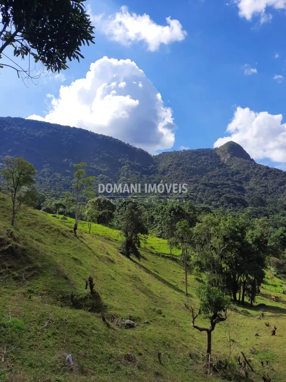 Sítio à venda de 3 ha em Gonçalves, MG, Brasil