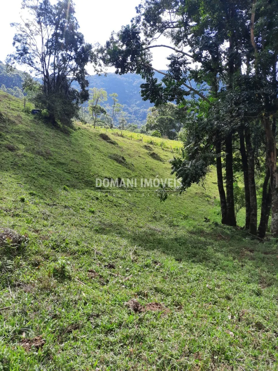 Sítio à venda de 3 ha em Gonçalves, MG, Brasil