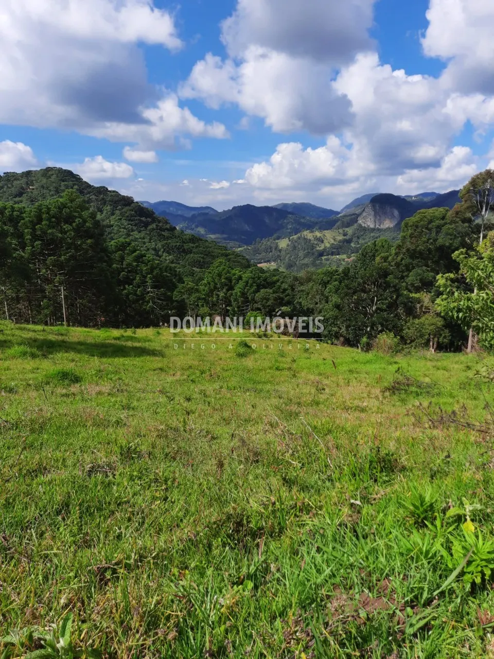 Sítio à venda de 3 ha em Gonçalves, MG, Brasil