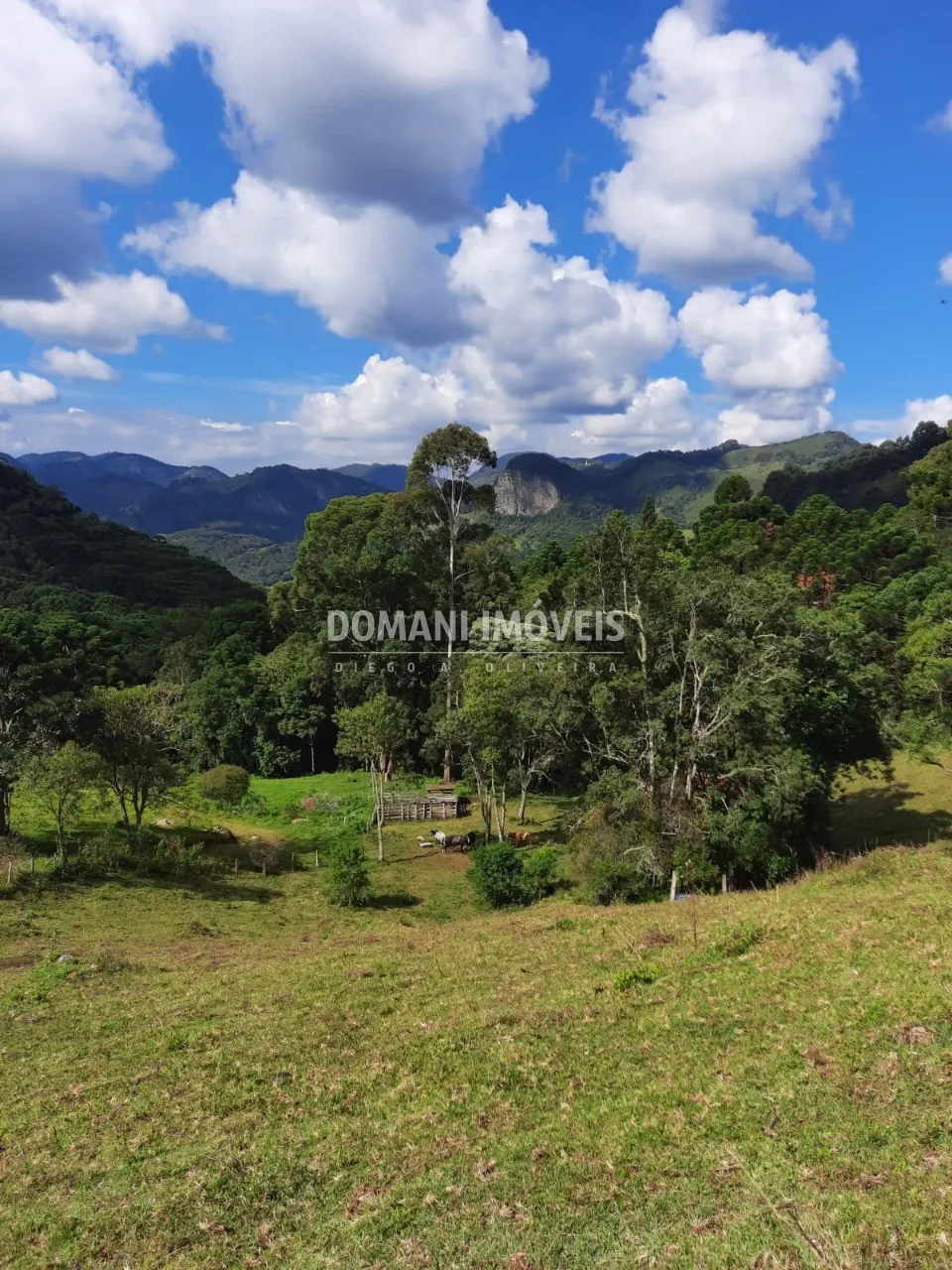Sítio à venda de 3 ha em Gonçalves, MG, Brasil