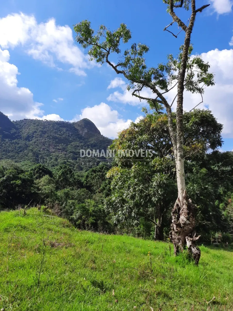 Sítio à venda de 3 ha em Gonçalves, MG, Brasil
