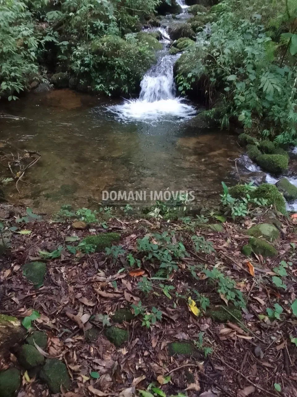 Sítio à venda de 3 ha em Gonçalves, MG, Brasil