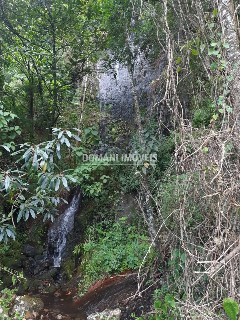 Sítio à venda de 3 ha em Gonçalves, MG, Brasil