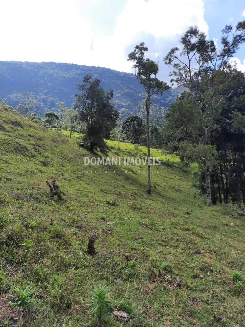 Sítio à venda de 3 ha em Gonçalves, MG, Brasil