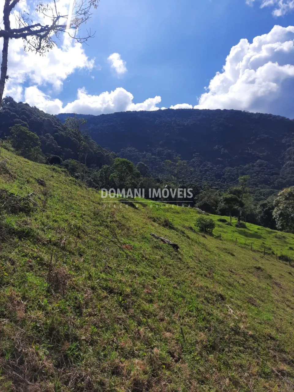 Sítio à venda de 3 ha em Gonçalves, MG, Brasil