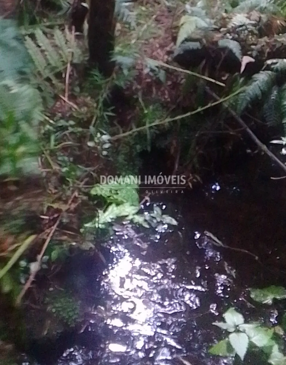 Sítio à venda de 3 ha em Gonçalves, MG, Brasil