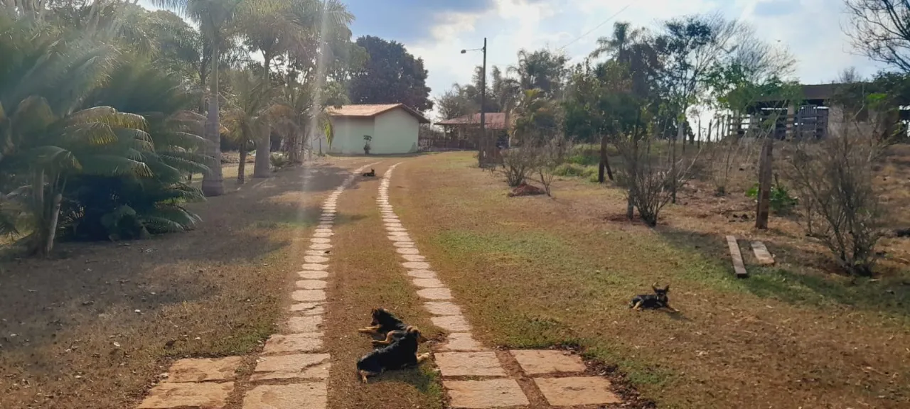 Chácara à venda de 3 ha em Boituva, SP, Brasil