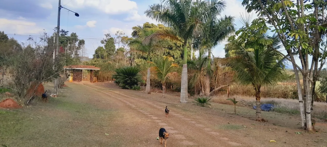 Chácara à venda de 3 ha em Boituva, SP, Brasil
