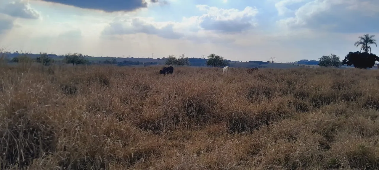 Chácara à venda de 3 ha em Boituva, SP, Brasil