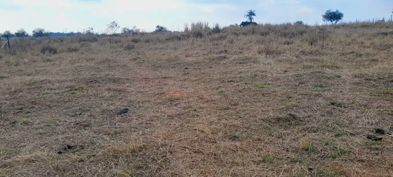 Chácara à venda de 3 ha em Boituva, SP, Brasil