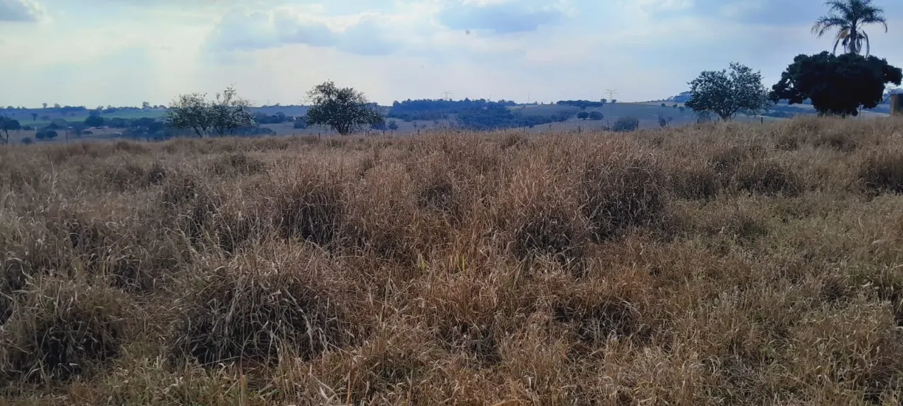 Chácara à venda de 3 ha em Boituva, SP, Brasil