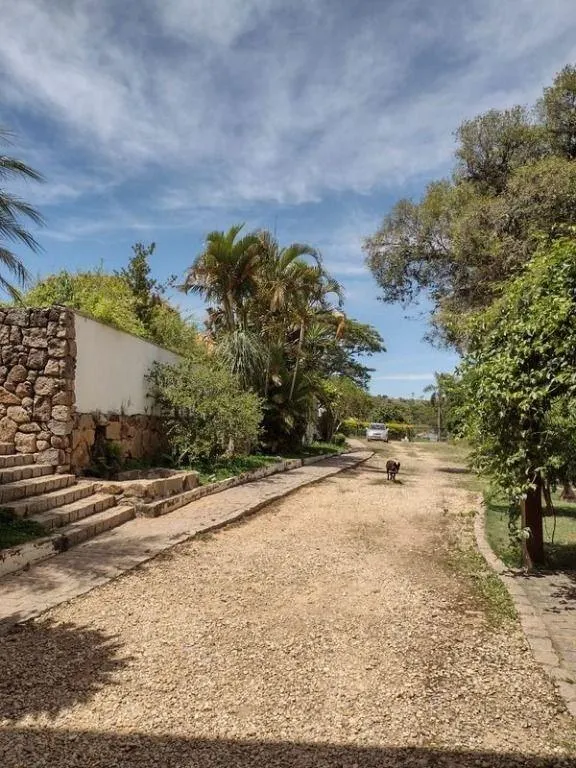 Small farm for sale of 66 acres in Amparo, SP, Brazil