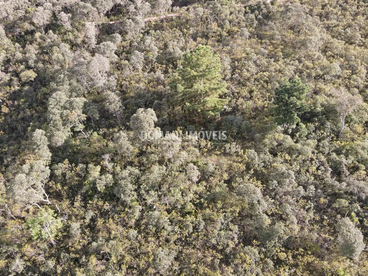 Terreno à venda de 1.010 m² em Campos do Jordão, SP, Brasil