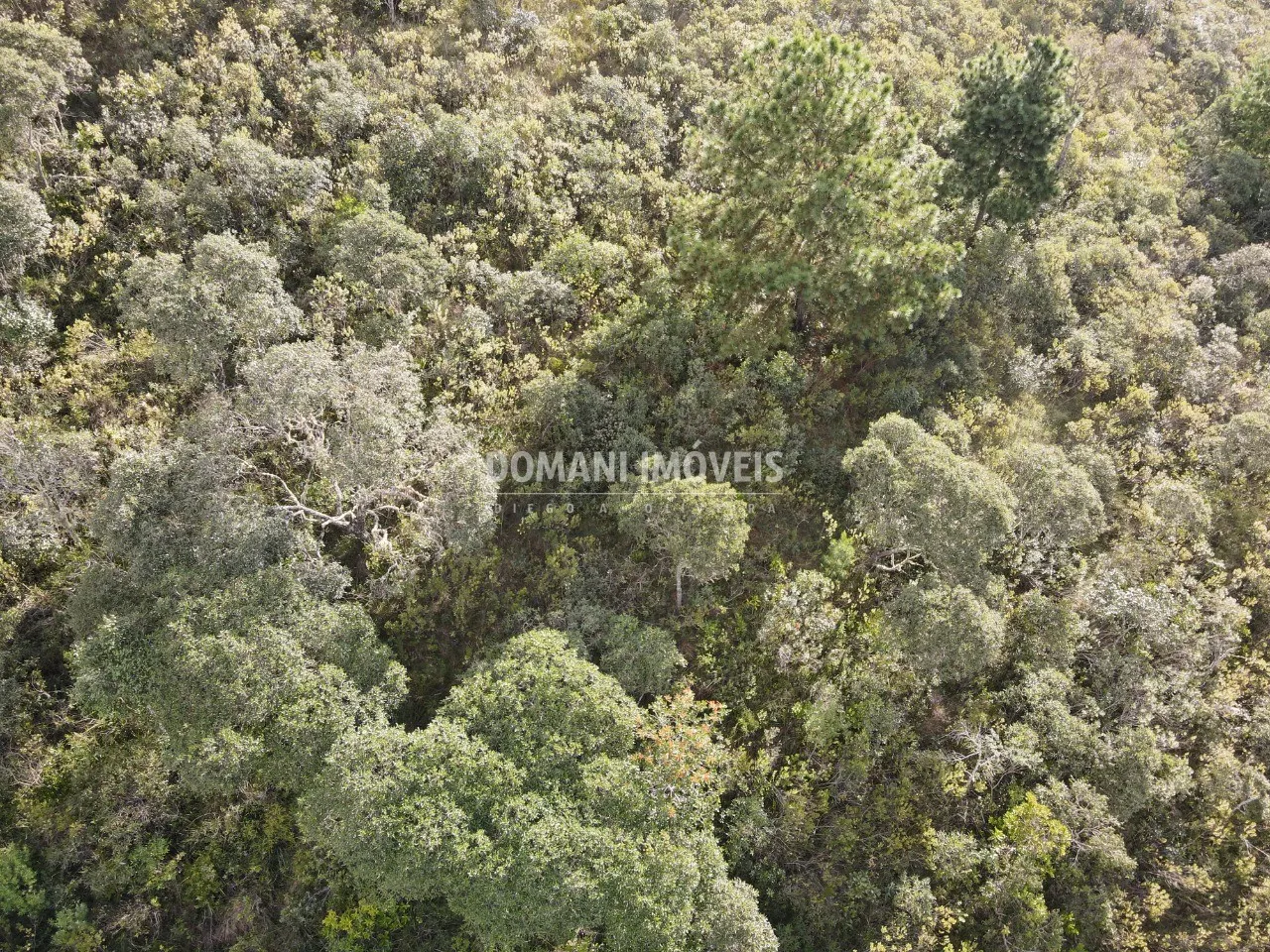 Terreno à venda de 1.010 m² em Campos do Jordão, SP, Brasil