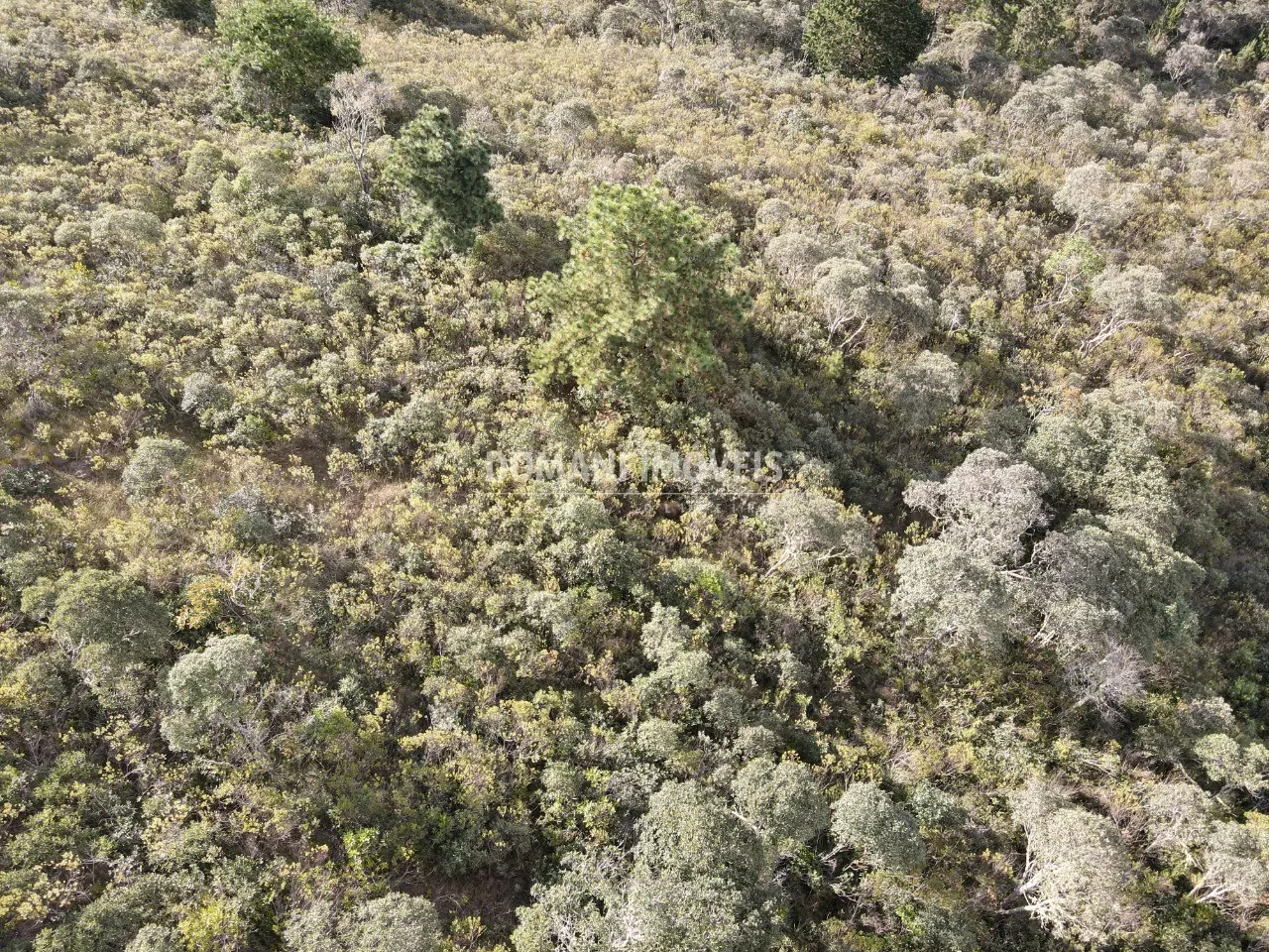 Terreno à venda de 1.010 m² em Campos do Jordão, SP, Brasil