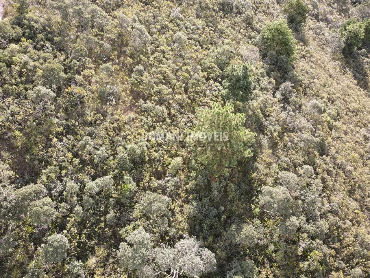 Terreno à venda de 1.010 m² em Campos do Jordão, SP, Brasil