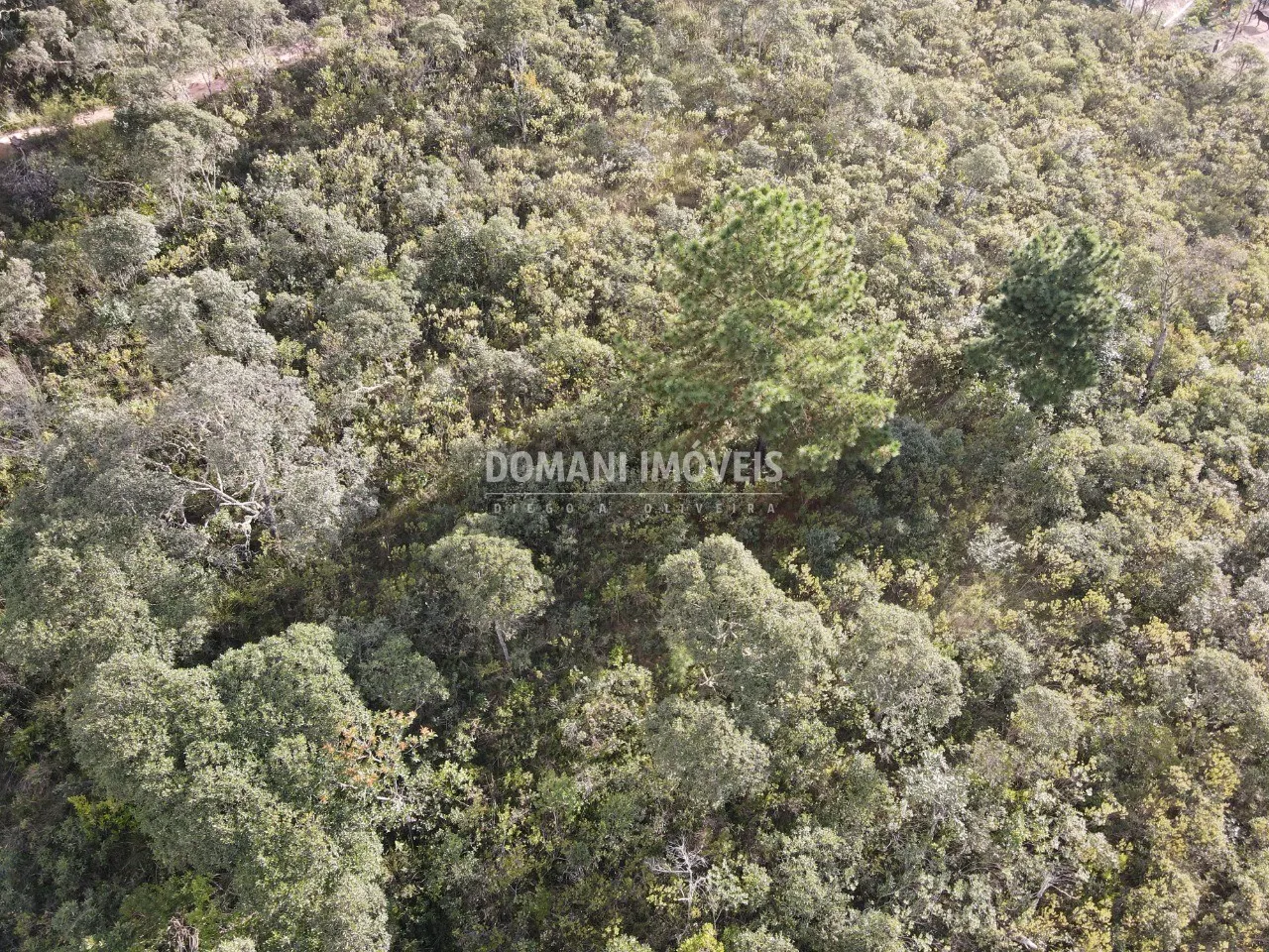 Terreno à venda de 1.010 m² em Campos do Jordão, SP, Brasil