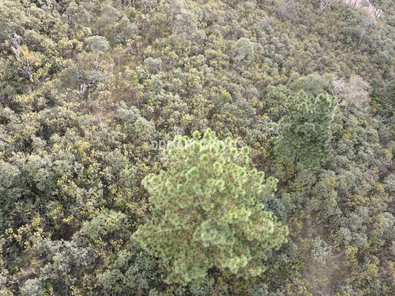 Terreno à venda de 1.010 m² em Campos do Jordão, SP, Brasil