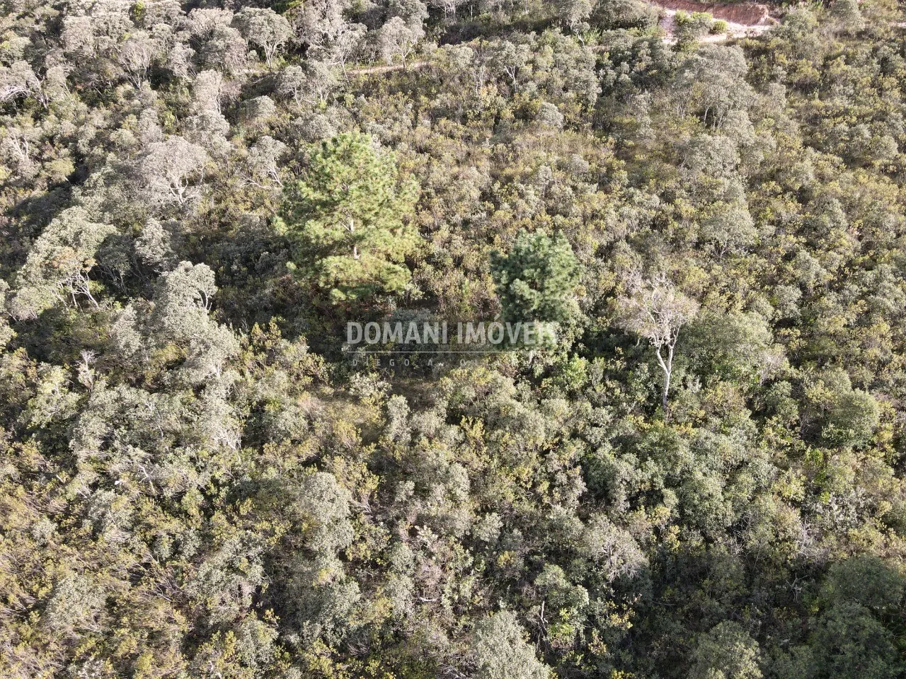 Terreno à venda de 1.010 m² em Campos do Jordão, SP, Brasil