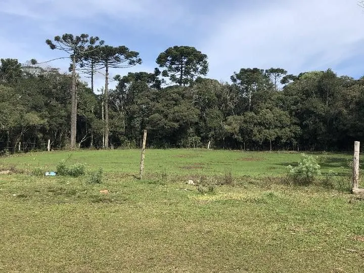 Fazenda à venda e para Arrendar de 318 ha em Cambará do Sul, RS, Brasil