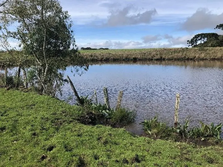 Fazenda à venda e para Arrendar de 318 ha em Cambará do Sul, RS, Brasil
