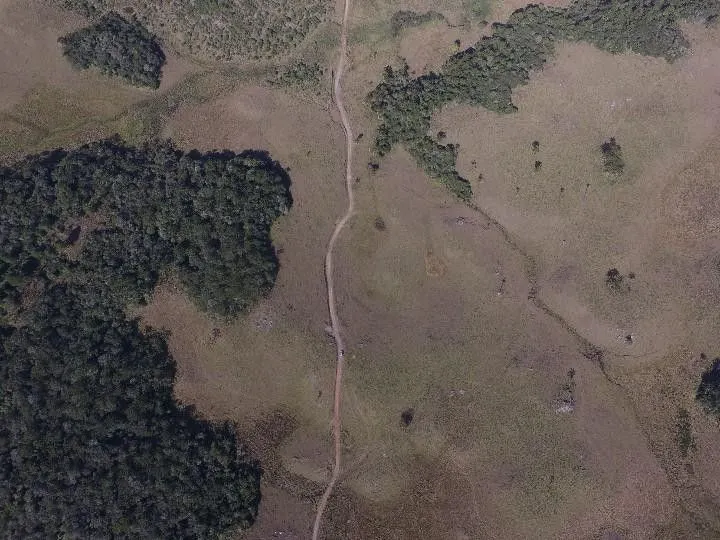 Fazenda à venda e para Arrendar de 318 ha em Cambará do Sul, RS, Brasil