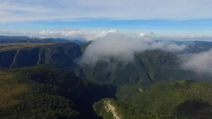 Fazenda à venda e para Arrendar de 318 ha em Cambará do Sul, RS, Brasil