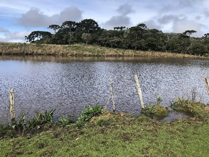 Fazenda à venda e para Arrendar de 318 ha em Cambará do Sul, RS, Brasil
