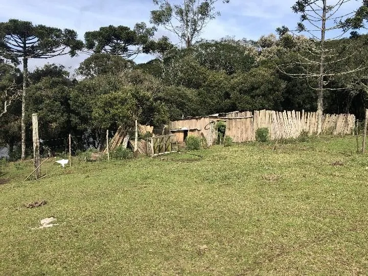 Fazenda à venda e para Arrendar de 318 ha em Cambará do Sul, RS, Brasil