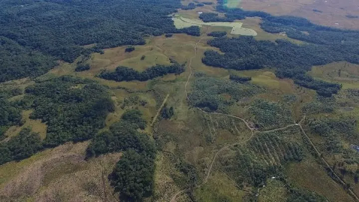 Fazenda à venda e para Arrendar de 318 ha em Cambará do Sul, RS, Brasil