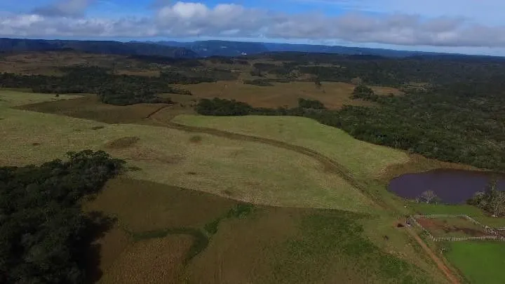 Fazenda à venda e para Arrendar de 318 ha em Cambará do Sul, RS, Brasil