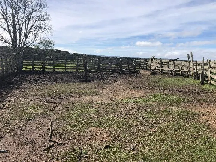 Fazenda à venda e para Arrendar de 318 ha em Cambará do Sul, RS, Brasil