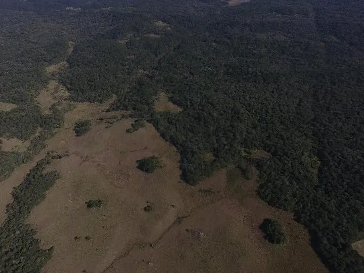 Fazenda à venda e para Arrendar de 318 ha em Cambará do Sul, RS, Brasil