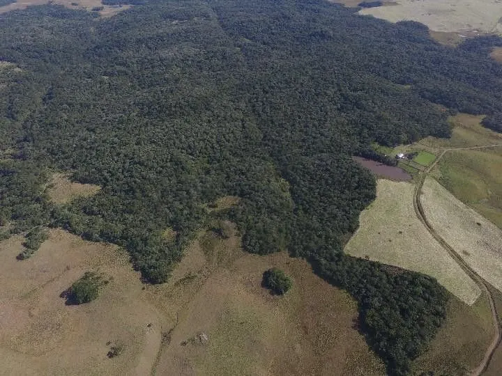 Fazenda à venda e para Arrendar de 318 ha em Cambará do Sul, RS, Brasil