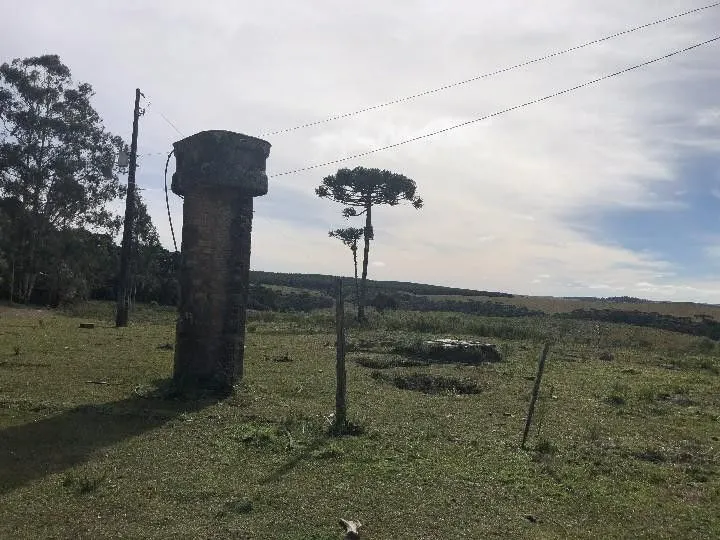 Fazenda à venda e para Arrendar de 318 ha em Cambará do Sul, RS, Brasil