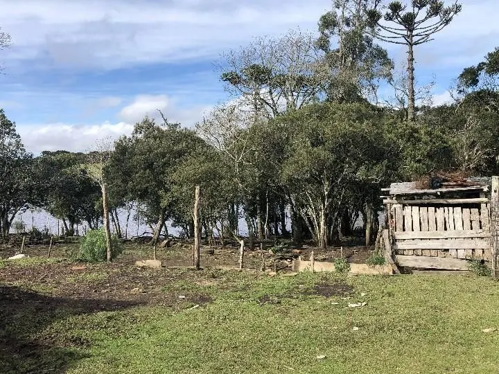 Fazenda à venda e para Arrendar de 318 ha em Cambará do Sul, RS, Brasil