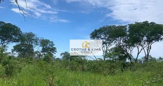 Fazenda à venda de 968 ha em Ribas do Rio Pardo, MS, Brasil
