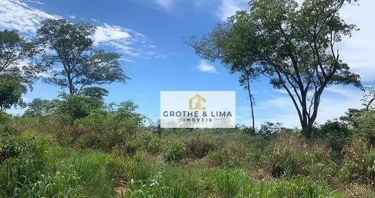Fazenda à venda de 968 ha em Ribas do Rio Pardo, MS, Brasil